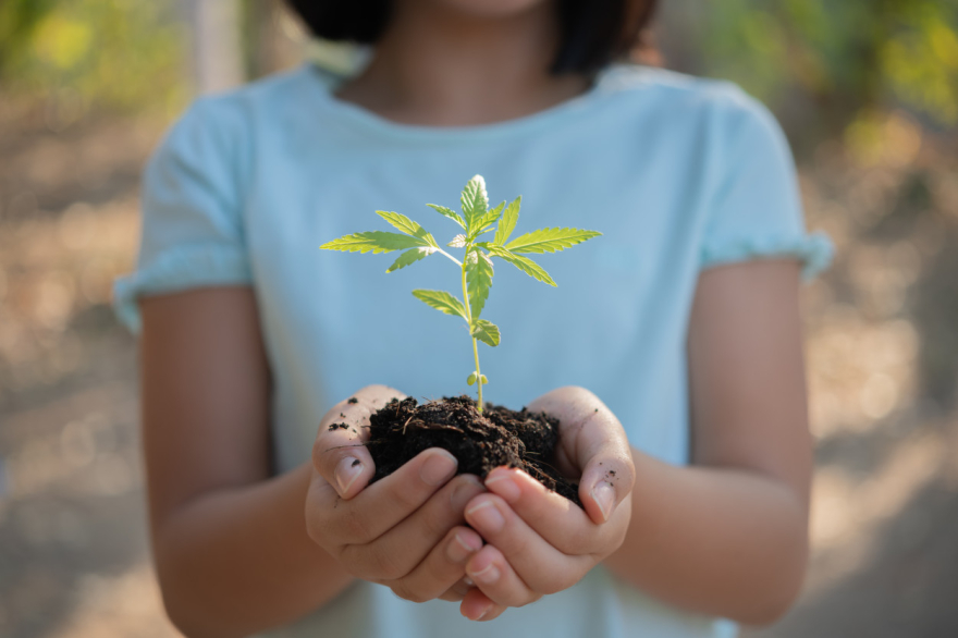 A child holding a seedling.